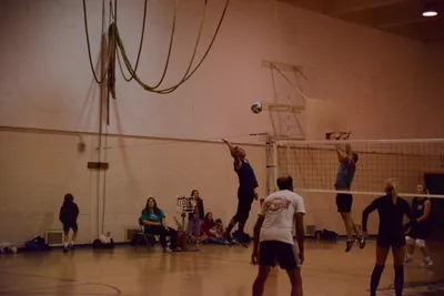 DSC_1711 (Large).JPG